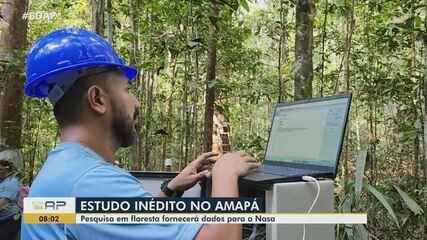 Estudo inédito mede fluxo de água das árvores na atmosfera do Amapá