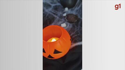 Halloween no interior de SP: bolos macabros fazem sucesso