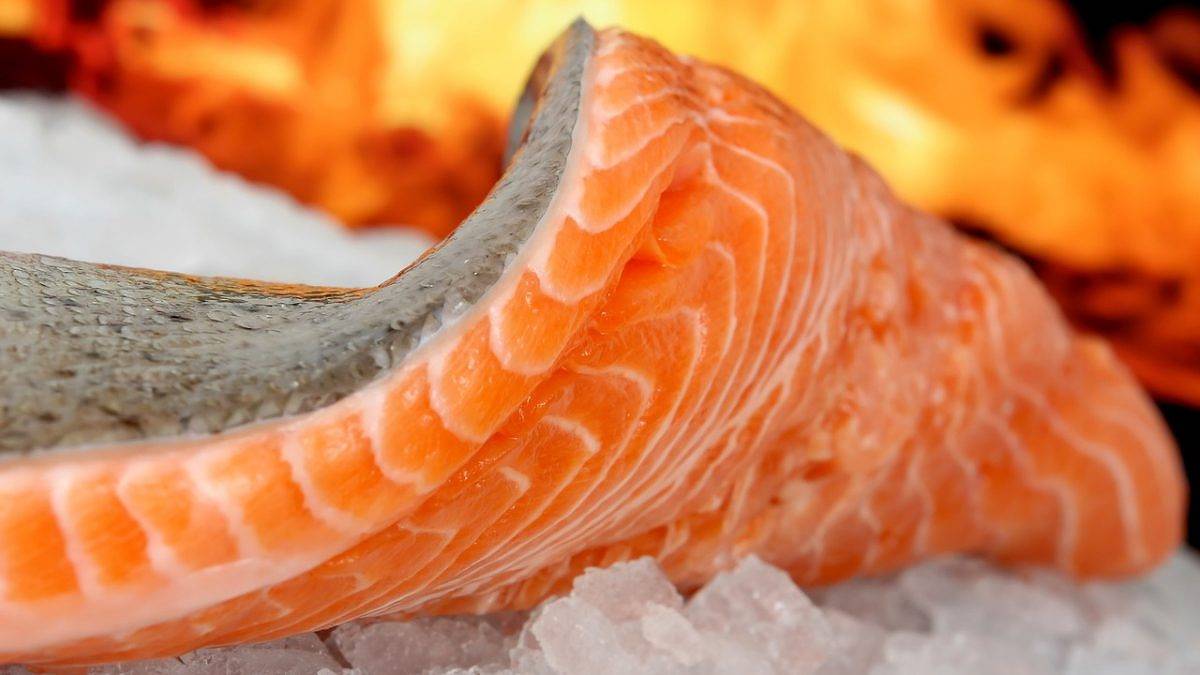 Peixes ricos em ômega-3 ajudam a prevenir gordura no fígado, aponta pesquisa
