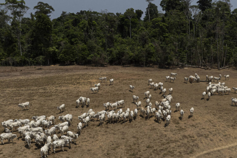 Financiamento climático para o agronegócio: demandas à COP30