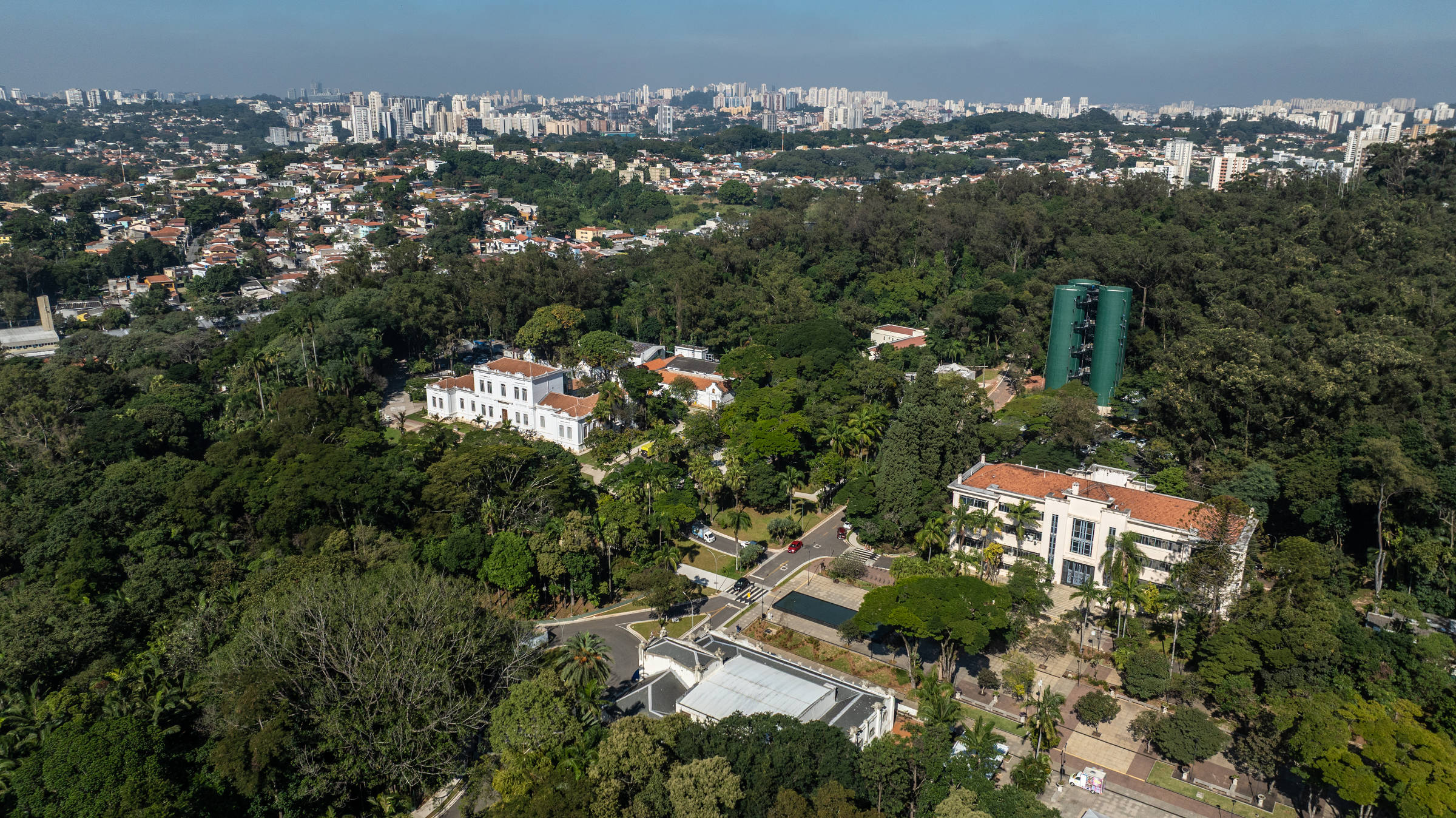 Floresta urbana: um apelo pela preservação
