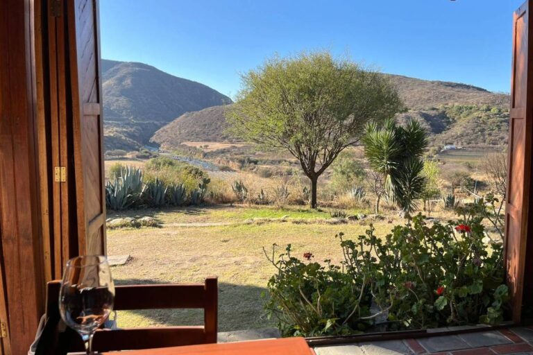 Descubra a produção de vinhos em Tarija, Bolívia