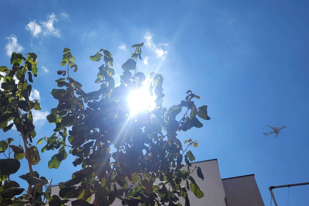 Feriado da Consciência Negra promete calor e tempo seco em São Paulo
