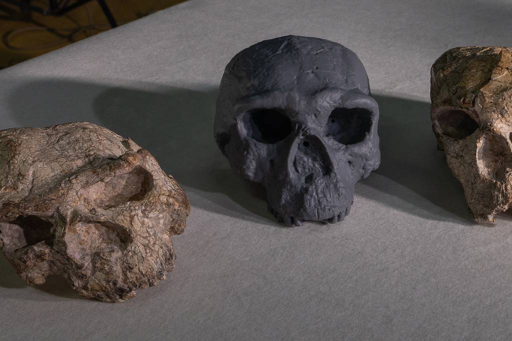 Crânio antigo sugere que Homo sapiens é mais antigo do que se pensava