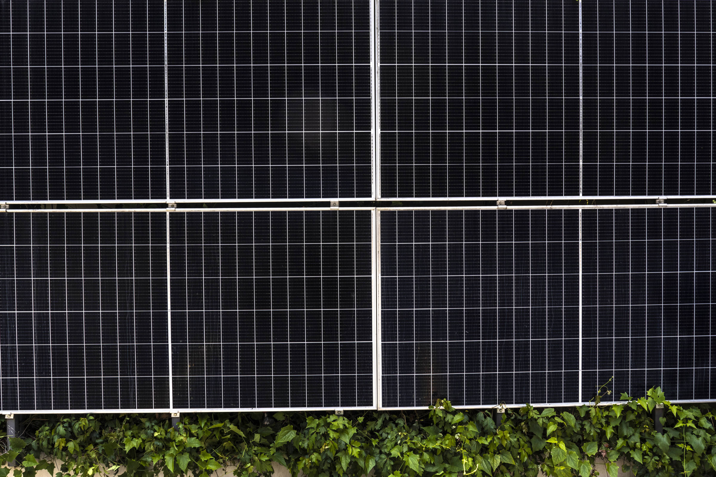 Estudo revela irregularidades na geração de energia solar