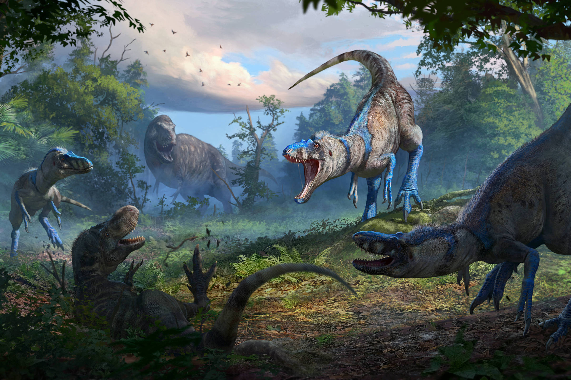 Nanotyrannus pode ser uma espécie distinta, não um jovem T. rex