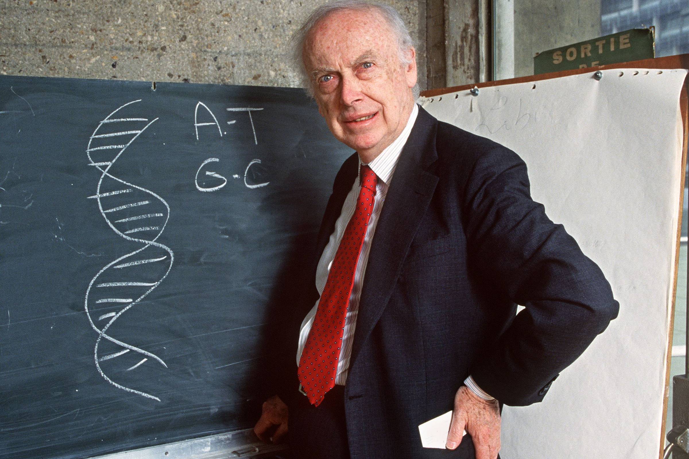 Impacto da descoberta da estrutura do DNA na percepção da humanidade