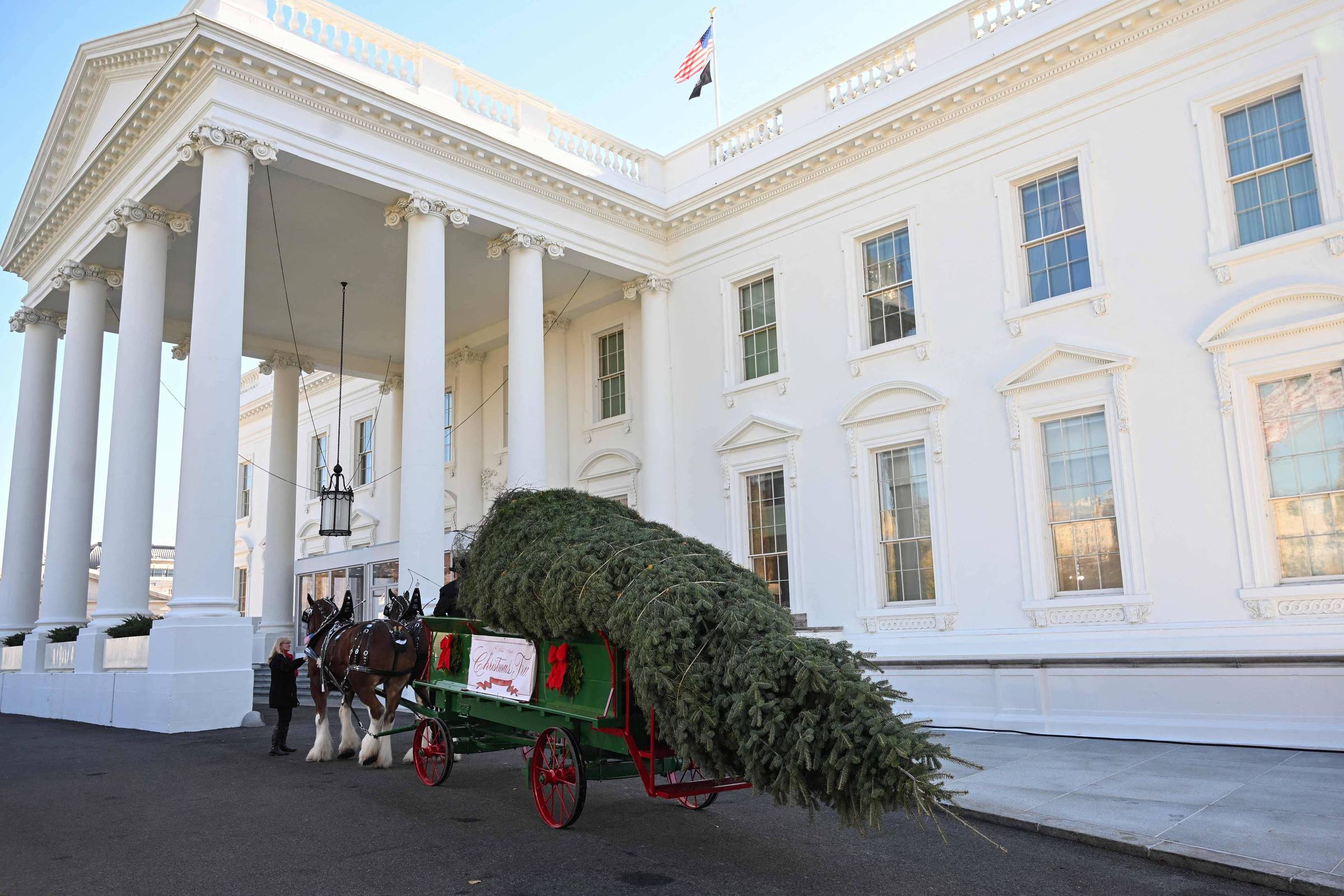 Melania Trump recebe árvore de Natal para Casa Branca