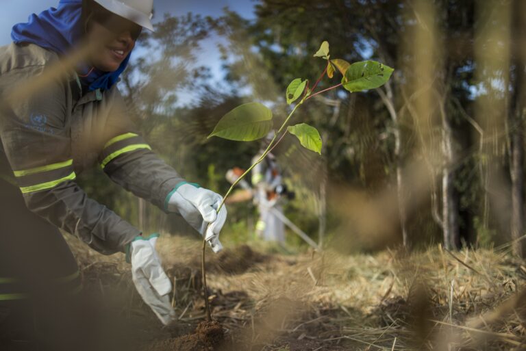 Anglo American investe na preservação da fauna e da flora