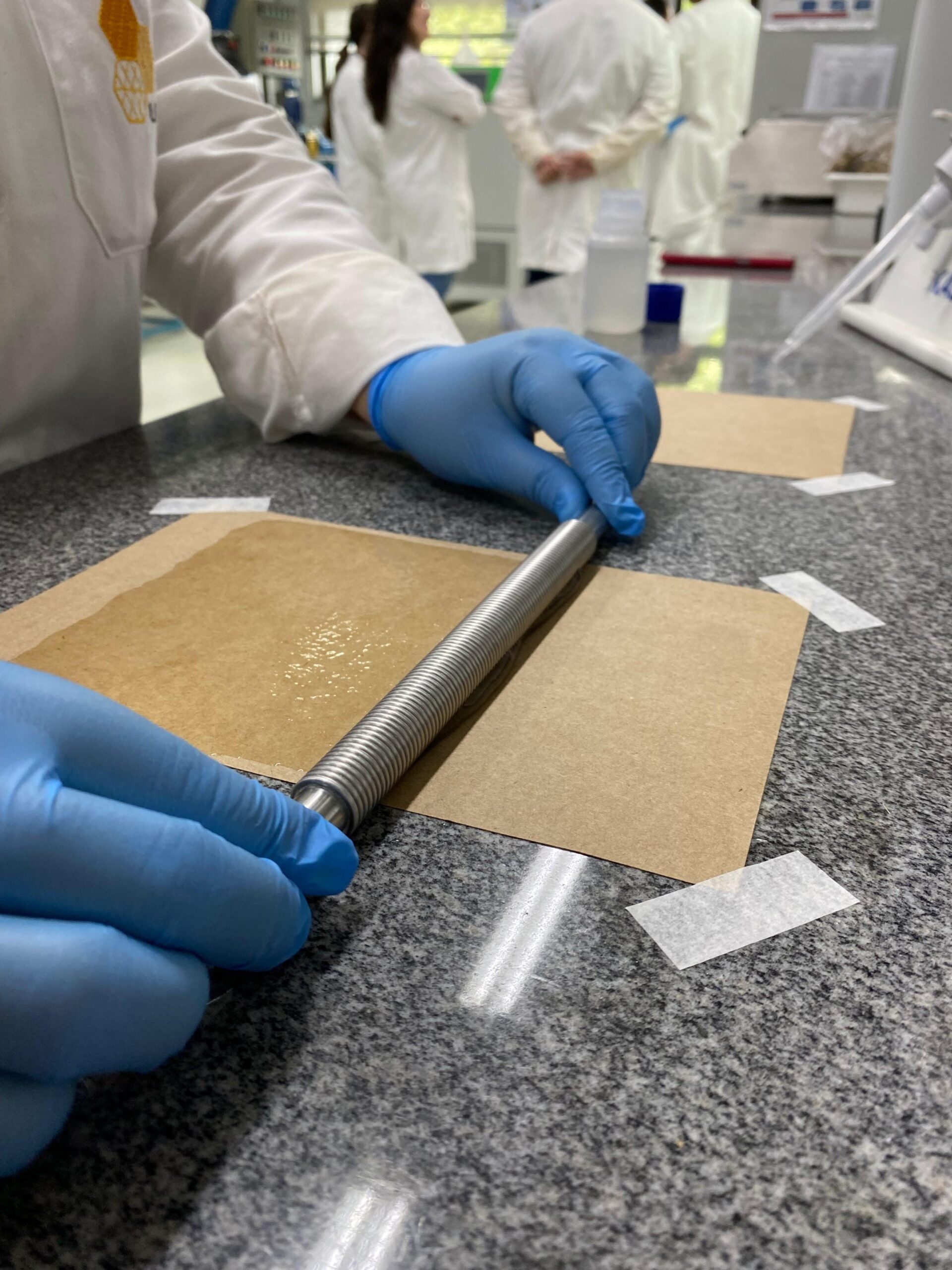 Papel vegetal com látex promete substituir plástico