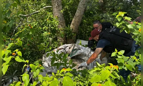 Corpo de comerciante desaparecido é encontrado em mata no Paraná