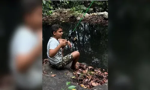 Criança de 9 anos falece após ataque de abelhas em Goiás