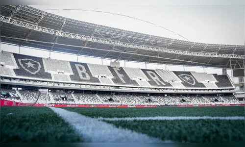 Botafogo enfrenta Grêmio em busca de vaga na Libertadores