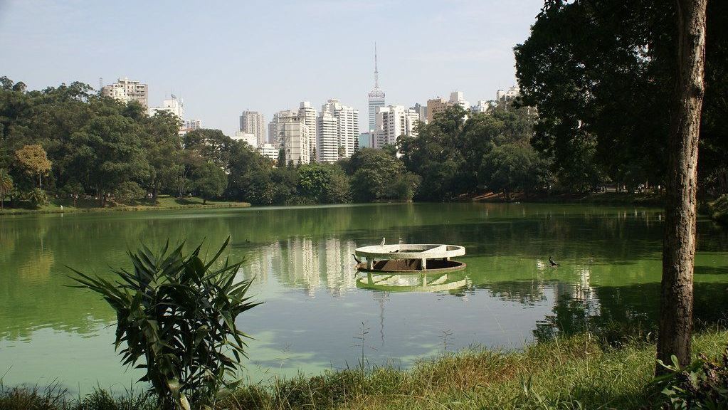 Tempo firme em São Paulo: semana com sol e calor