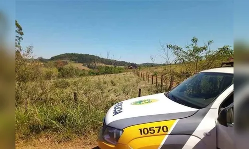 Ladrões furtam carne de vaca em Jardim Alegre