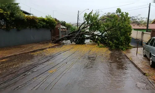 Alerta severo de tempestade para Apucarana e Arapongas