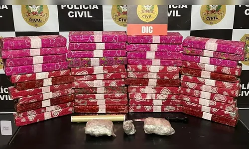 Polícia Civil desarticula tráfico de drogas disfarçado em pacotes de presente em SC