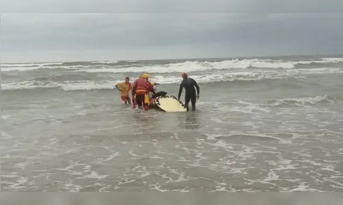 Jovem desaparece após ser arrastado por correnteza em Santa Catarina