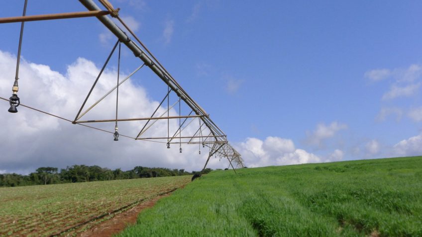 Congresso analisa MP para liberar R$ 12 bilhões a agricultores