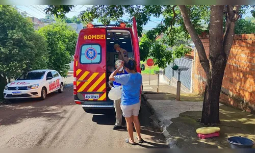 Jovem é mordido pelo cachorro e é resgatado pelos bombeiros em Apucarana