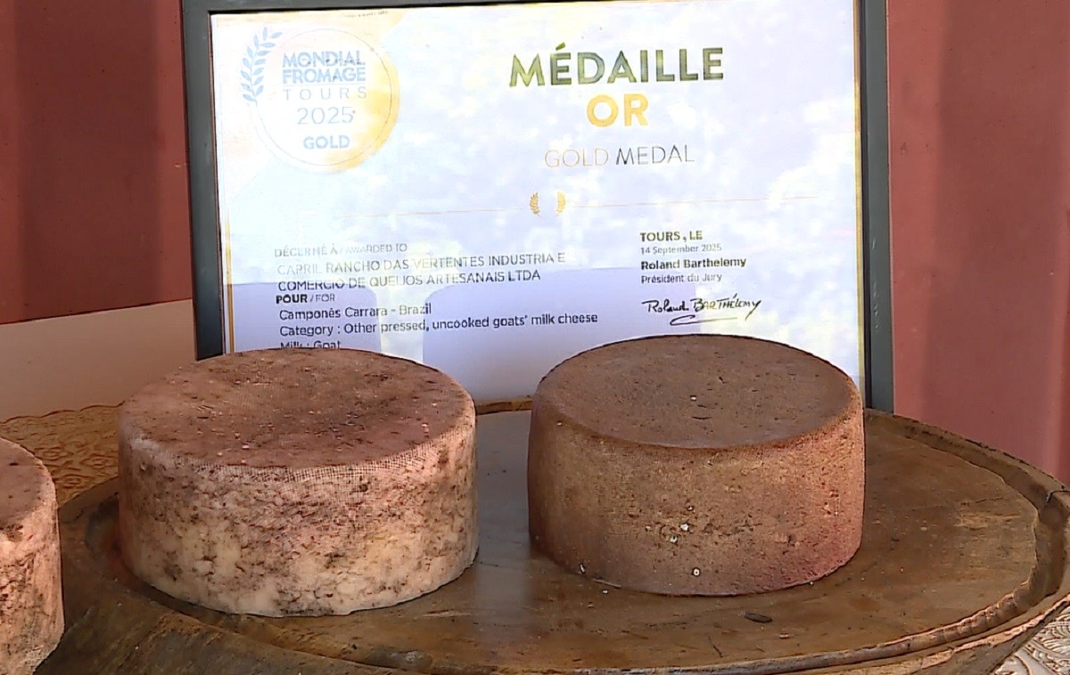 Queijo mineiro com açaí e beterraba conquista ouro em concurso na França