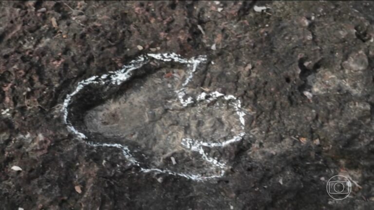 Descoberta de pegadas de dinossauros surpreende em Roraima