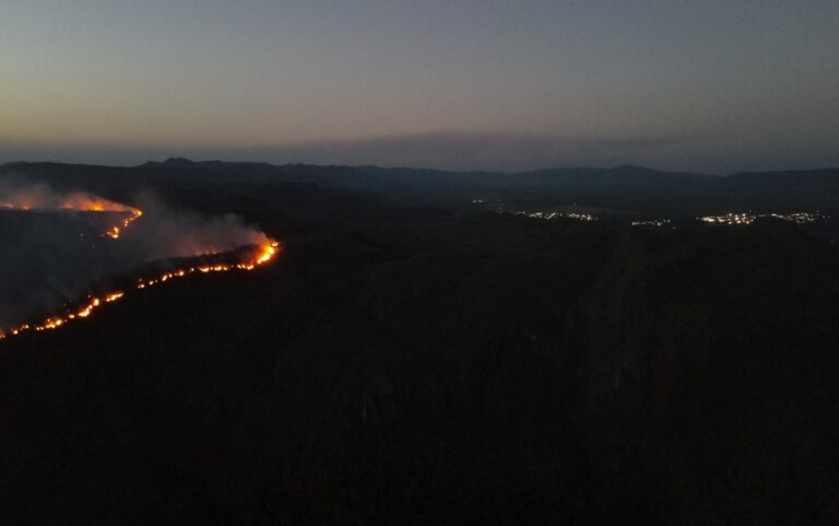 Incêndios ameaçam fauna e flora na Chapada dos Veadeiros