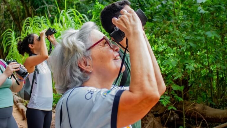 Birdwatching: quatro locais para praticar observação de aves no Ceará