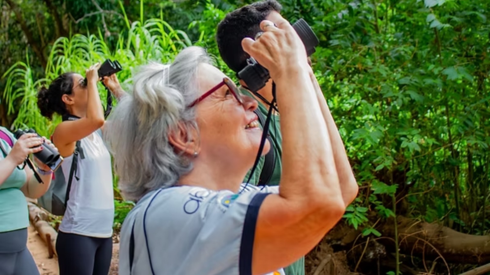 Birdwatching: quatro locais para praticar observação de aves no Ceará