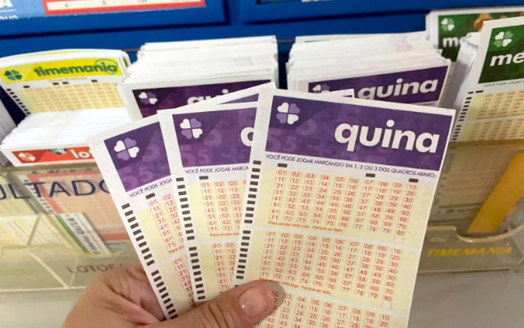Resultados da Quina: concurso 6835