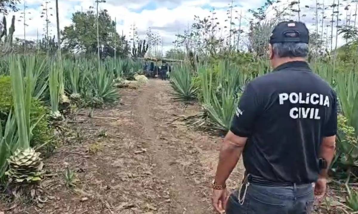 Suspeito de abusar da própria filha é preso em Araci