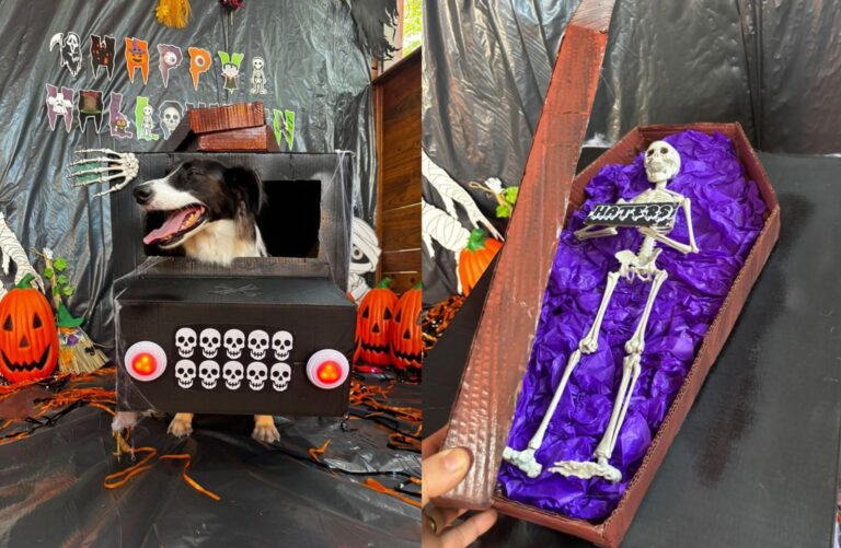 Cãocurso de Halloween tem carro funerário e esqueleto em creche