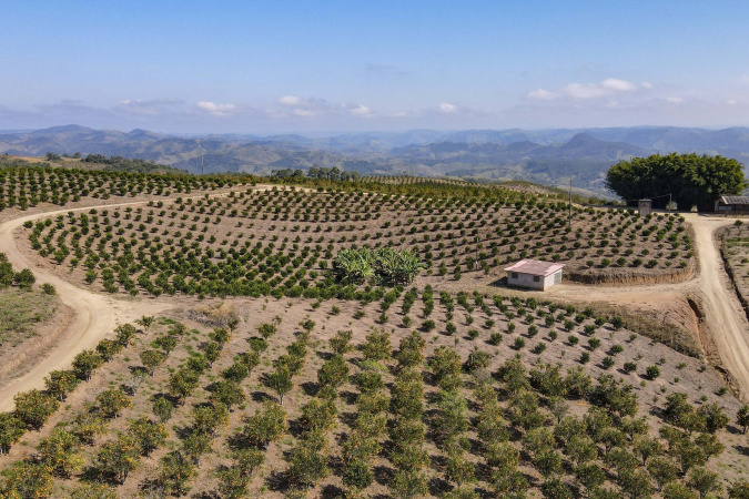 Dados econômicos e do agronegócio no Paraná são apresentados em painel interativo
