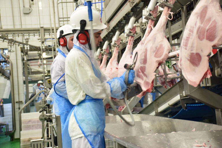 México proíbe importação de carne suína da Espanha devido à peste suína africana