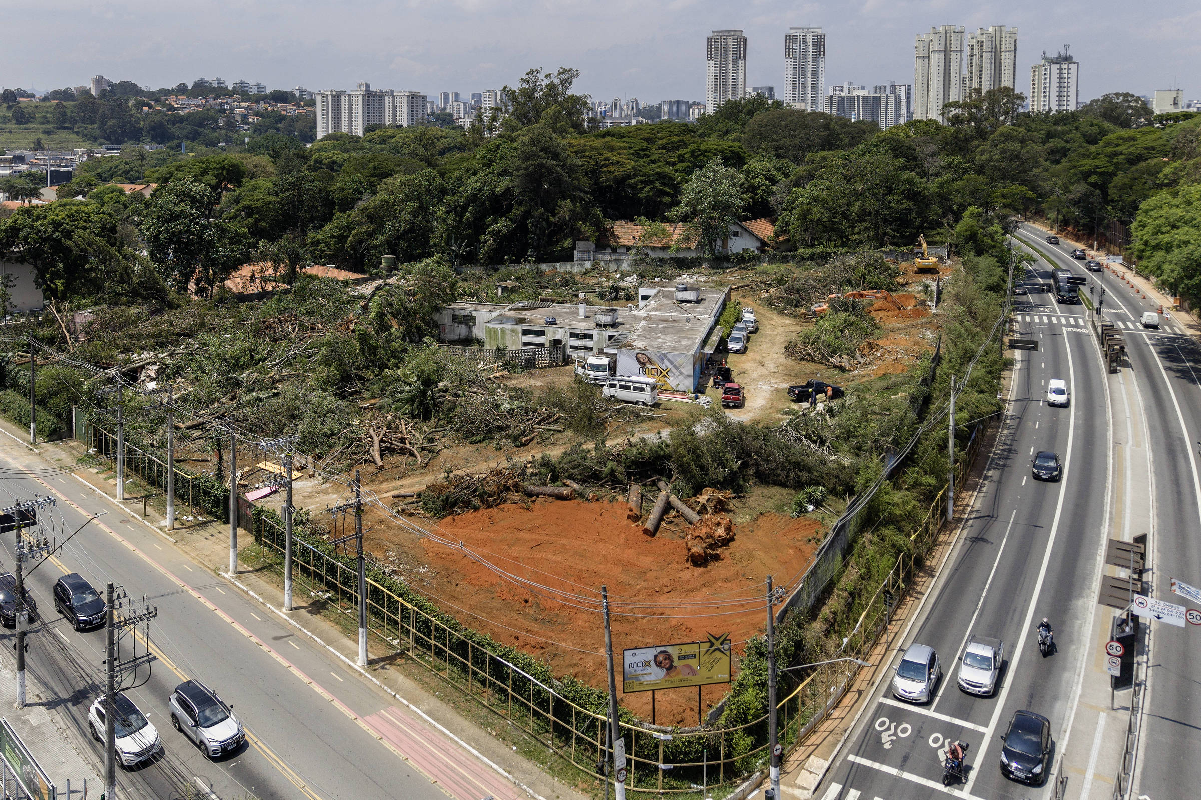 Derrubada de árvores no Butantã gera protestos e preocupações ambientais