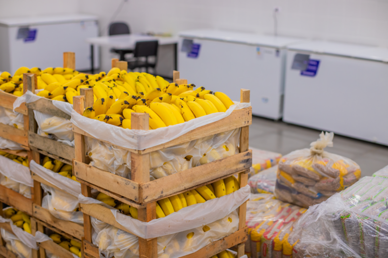 Curitiba fortalece agricultura familiar com novo chamamento público