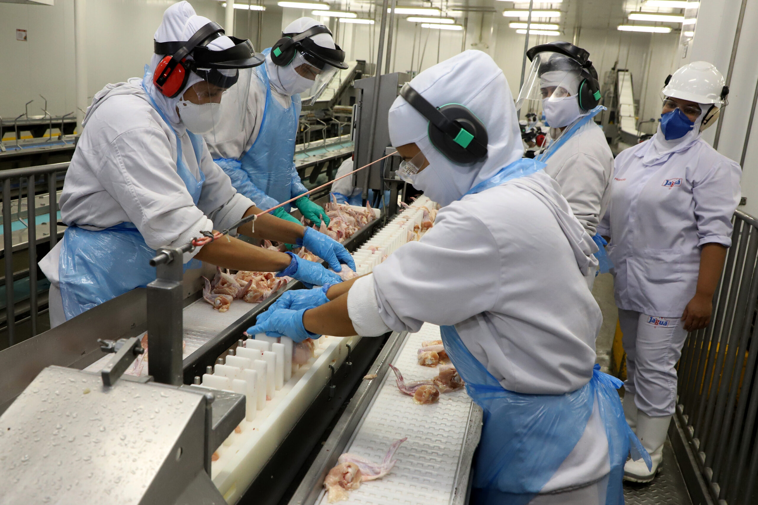 Paraná exporta mais alimentos que Japão, Coreia do Sul e Portugal