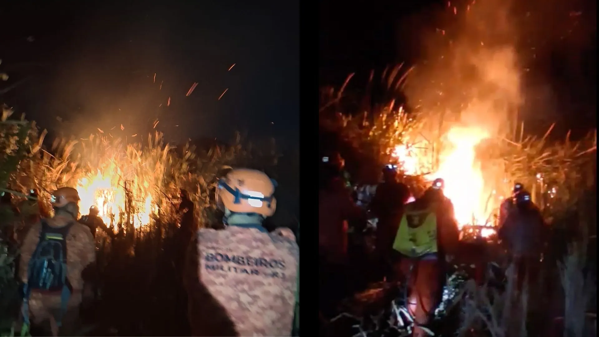 Bombeiros controlam incêndio devastador em área de mata na zona oeste do Rio