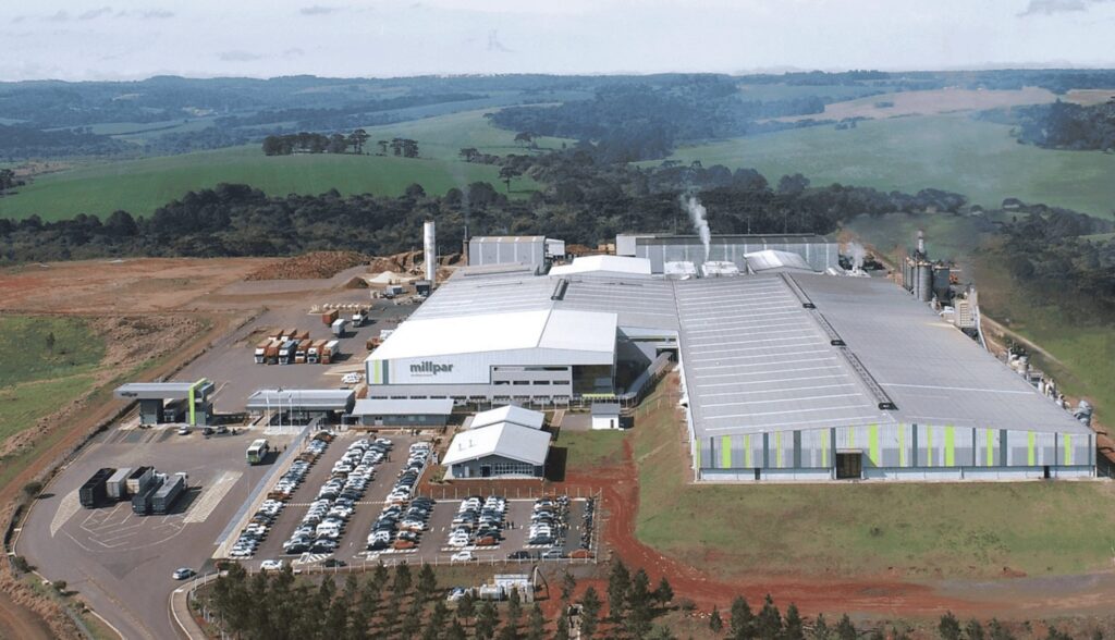 madeireiras do Paraná