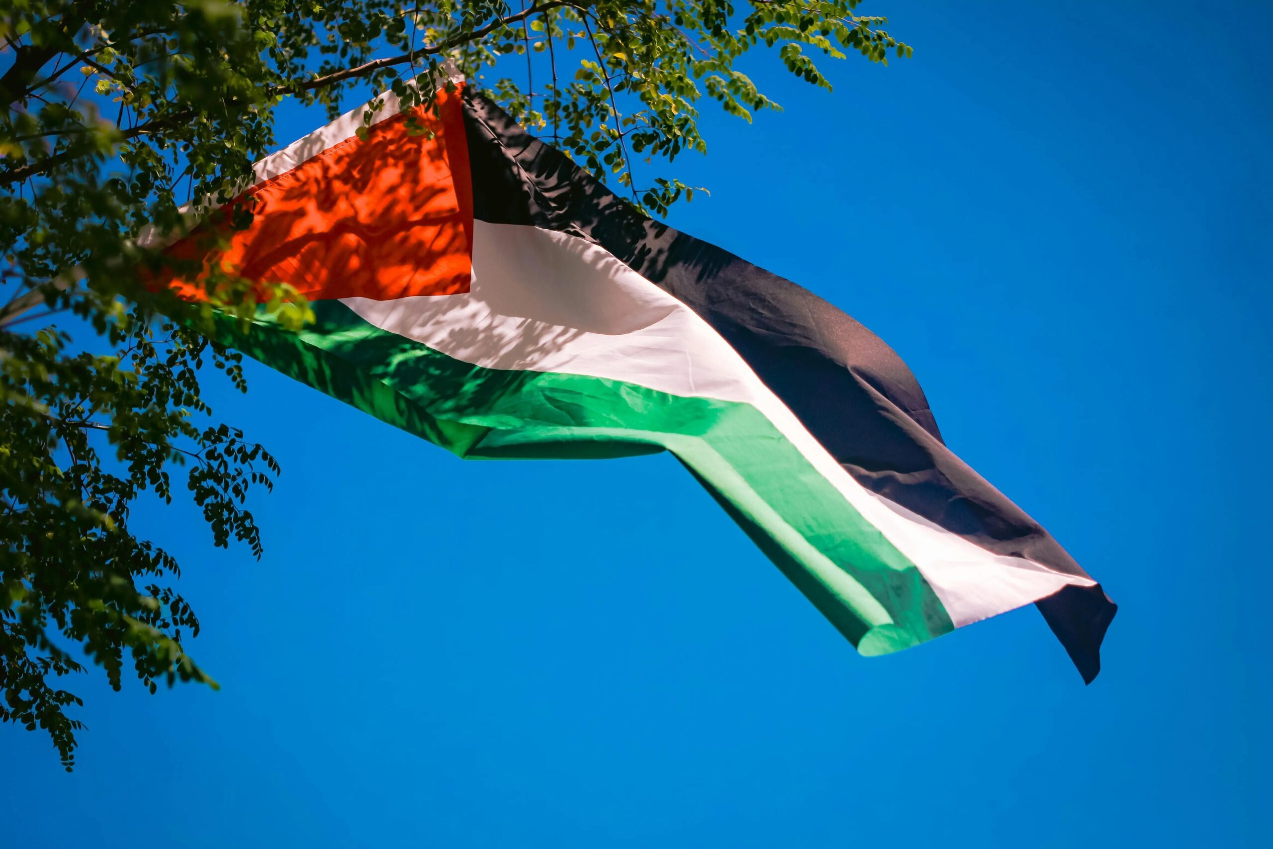 França Planeja Reconhecer Estado Palestino, Desafiando Israel e Acendendo Debate Internacional