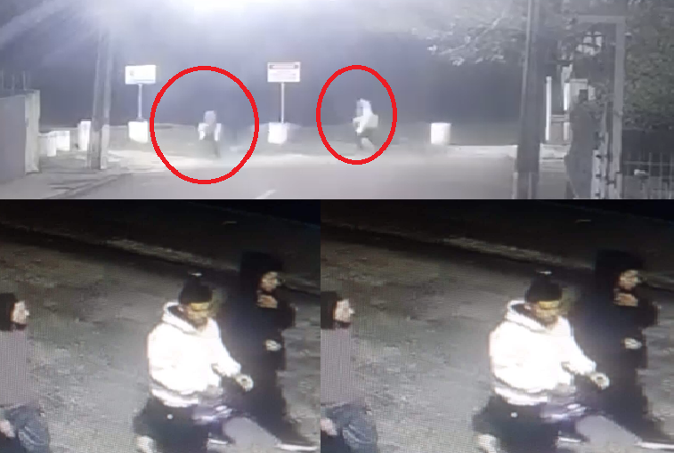 Onda de Crimes Aterroriza Balneário do Estreito em Florianópolis: Moradores Vivem Sob Medo