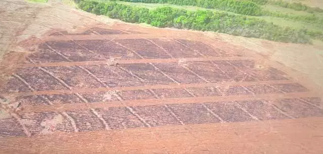 Queimada Ilegal Flagrada por Satélite Resulta em Multa de R$ 96 Mil em Paraíso das Águas