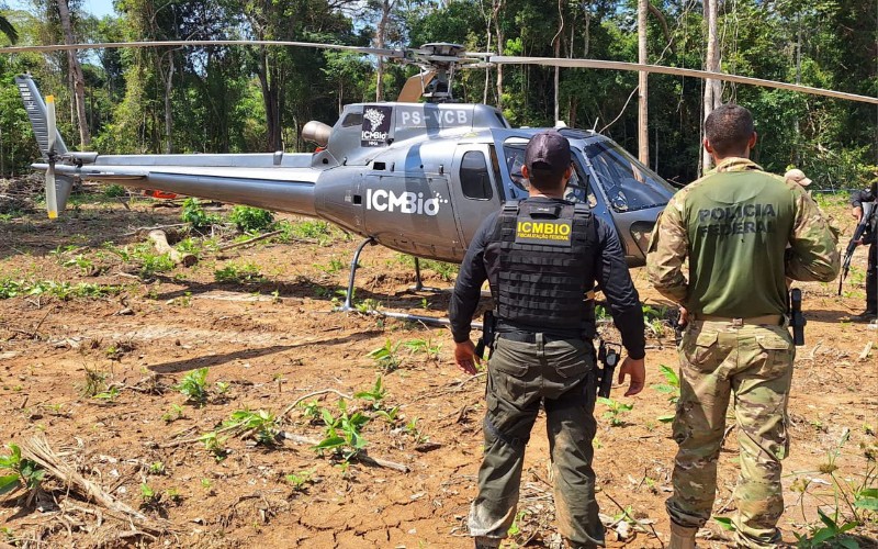 Ação conjunta da Polícia Federal e ICMBio mira crimes ambientais no Parque Nacional Mapinguari