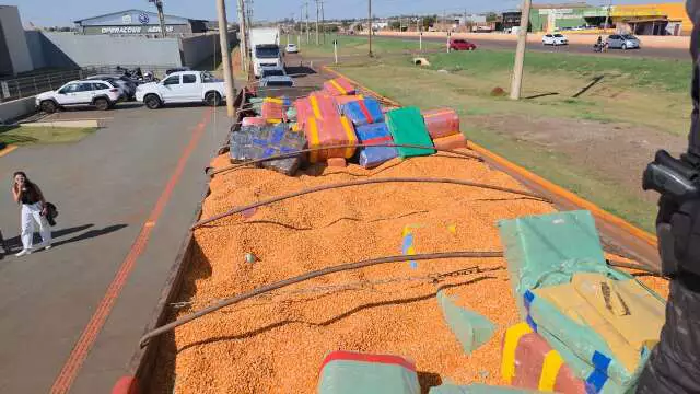 Apreensão Recorde: DOF intercepta carreta com 10 toneladas de maconha escondida em carga de milho na fronteira