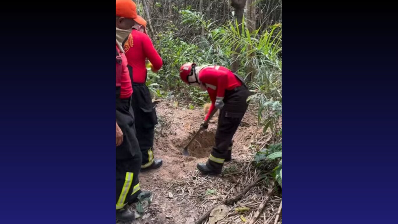 Chocante Descoberta em Imperatriz: Corpos Esquarterjados Abalam a Cidade