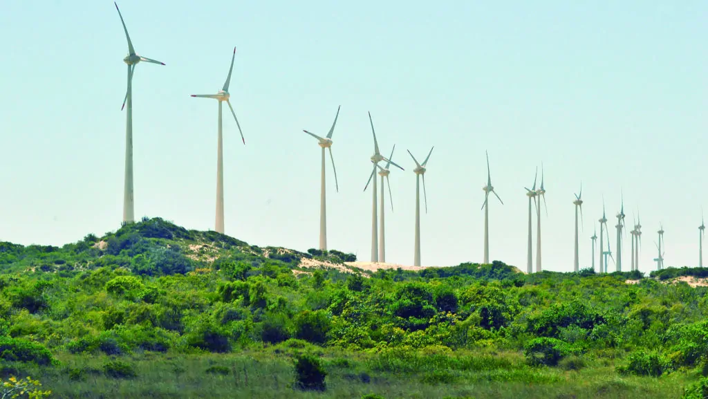 Ventos da Mudança: Mulheres Conquistam Espaço na Energia Eólica, Mas Desafios Persistem