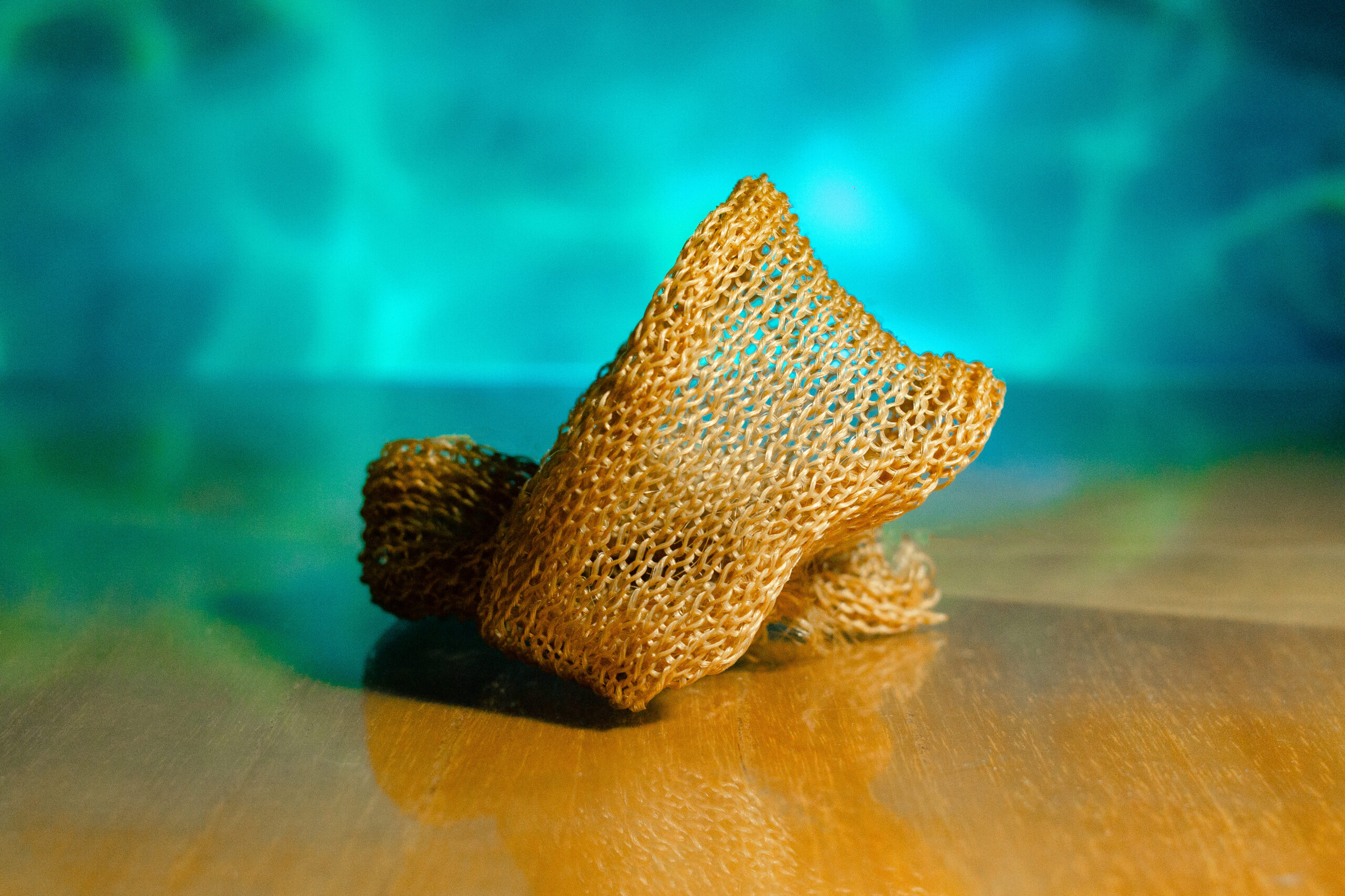 Inovação Sustentável: Paraibana Cria Fio Têxtil a Partir de Algas Marinhas e Revoluciona a Moda