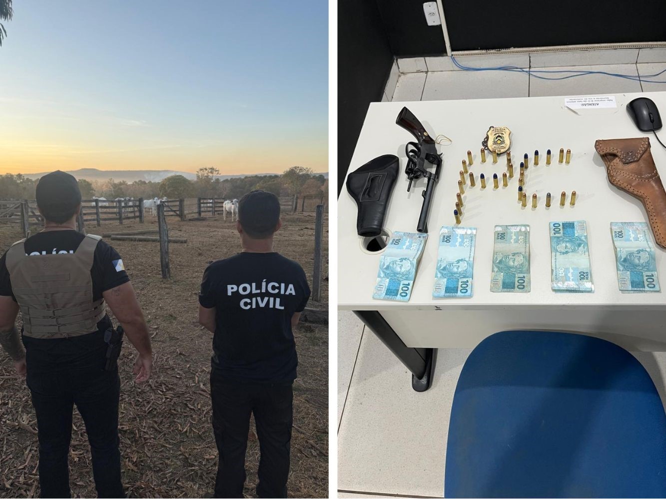 Operação Boi Valente: Polícia Civil investiga furto de gado e prende suspeito por posse ilegal de arma em Porto Nacional