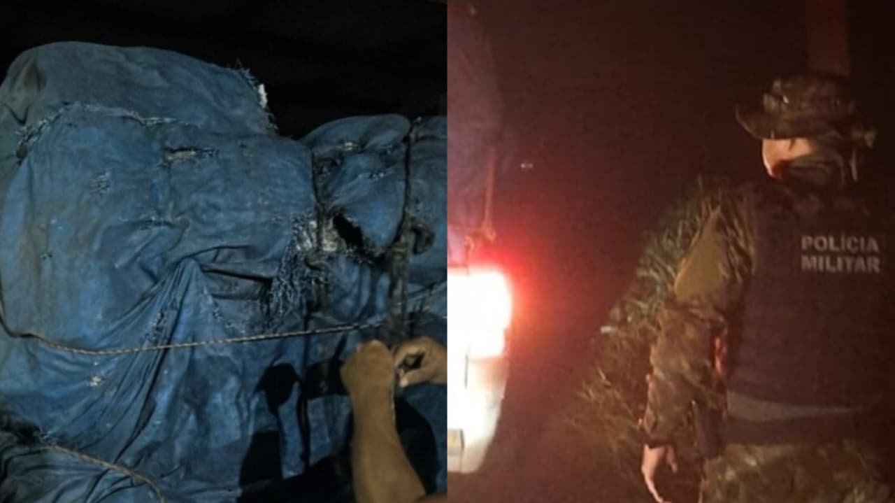 Homem Detido na Bahia por Transporte Ilegal de Carvão Vegetal: Carga Apreendida