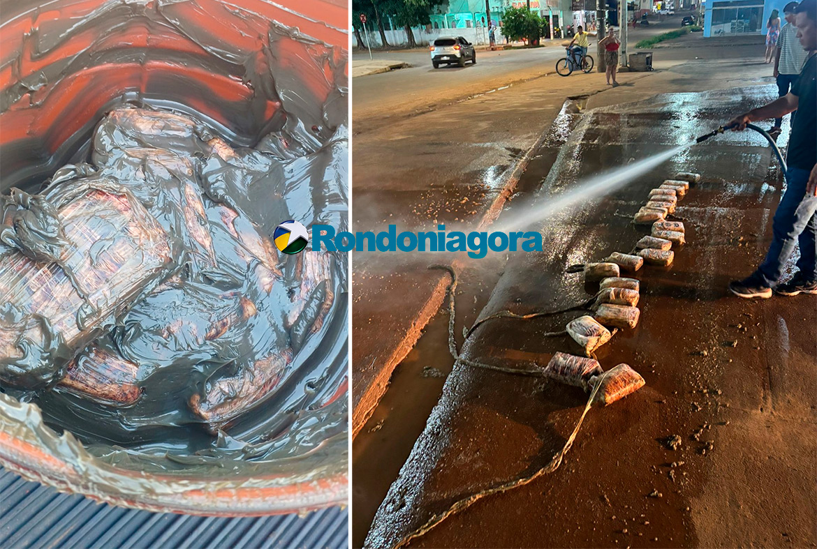 Ação Integrada em Porto Velho Resulta na Apreensão de Skunk: DERFRVA e Polícia do Acre Unem Forças